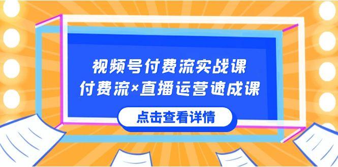 视频号付费流实战课，付费流×直播运营速成课，让你快速掌握视频号核心运营技能-小艾项目网
