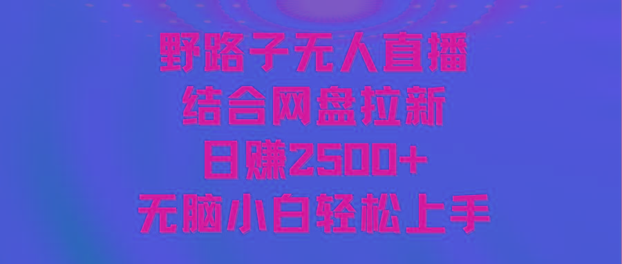 无人直播野路子结合网盘拉新，日赚2500+多平台变现，小白无脑轻松上手操作-小艾项目网