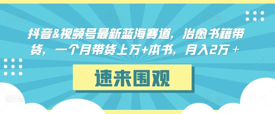 抖音&视频号最新蓝海赛道，治愈书籍带货，一个月带货上万+本书，月入2万＋【揭秘】-小艾项目网