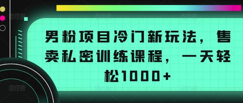 男粉项目冷门新玩法，售卖私密训练课程，一天轻松1000+【揭秘】-小艾项目网