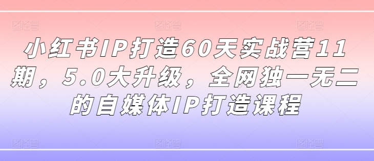 小红书IP打造60天实战营11期，5.0大升级，全网独一无二的自媒体IP打造课程-小艾项目网