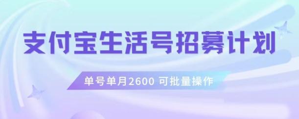 支付宝生活号作者招募计划，单号单月2600，可批量去做，工作室一人一个月轻松1w+【揭秘】-小艾项目网