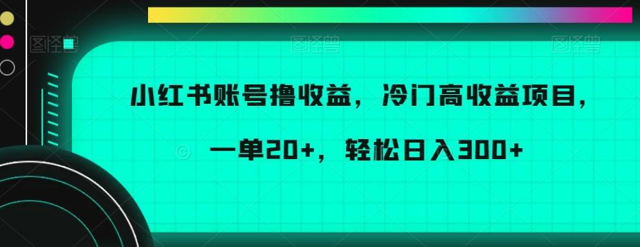 小红书账号撸收益，冷门高收益项目，一单20+，轻松日入300+【揭秘】-小艾项目网