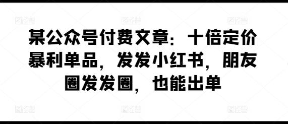某公众号付费文章：十倍定价暴利单品，发发小红书，朋友圈发发圈，也能出单-小艾项目网
