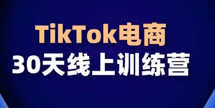 TikTok电商带货30天线上课，不可错过的全球流量洼地！-小艾项目网