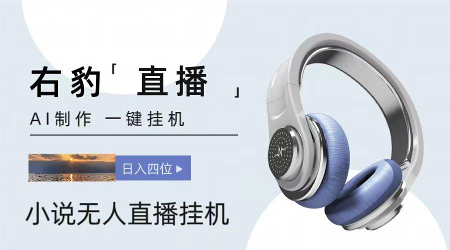 右豹小说无人直播挂机吸金项目，简单易行收益稳定， 月入1000+-小艾项目网