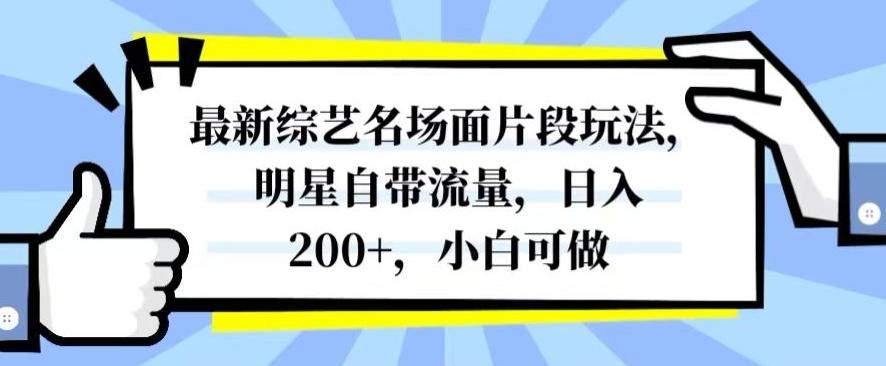 最新综艺名场面片段玩法，明星自带流量，日入200+，小白可做【揭秘】-小艾项目网