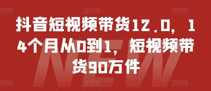 抖音短视频带货12.0，14个月从0到1，短视频带货90万件-小艾项目网