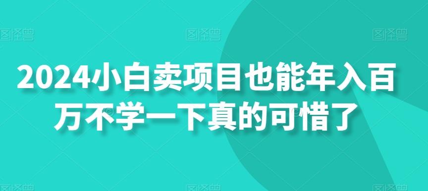 2024小白卖项目也能年入百万不学一下真的可惜了-小艾项目网