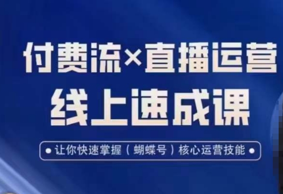 视频号付费流实操课程，付费流✖️直播运营速成课，让你快速掌握视频号核心运营技能-小艾项目网