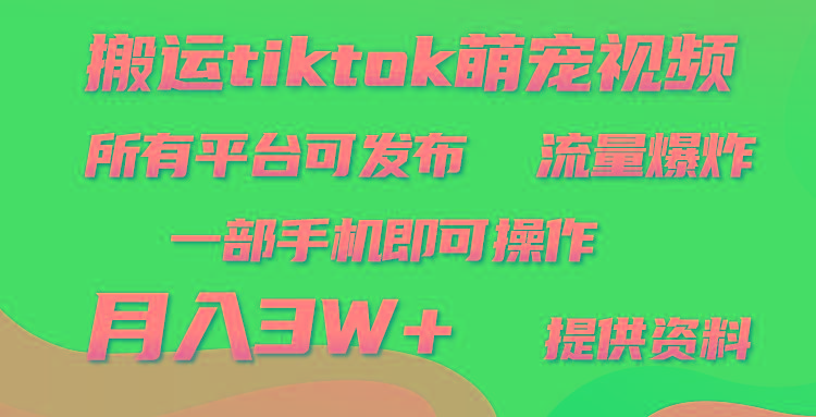 (9618期)搬运Tiktok萌宠类视频，一部手机即可。所有短视频平台均可操作，月入3W+-小艾项目网