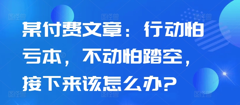 某付费文章：行动怕亏本，不动怕踏空，接下来该怎么办?-小艾项目网