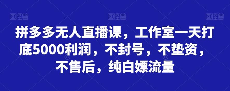 拼多多无人直播课，工作室一天打底5000利润，不封号，不垫资，不售后，纯白嫖流量-小艾项目网