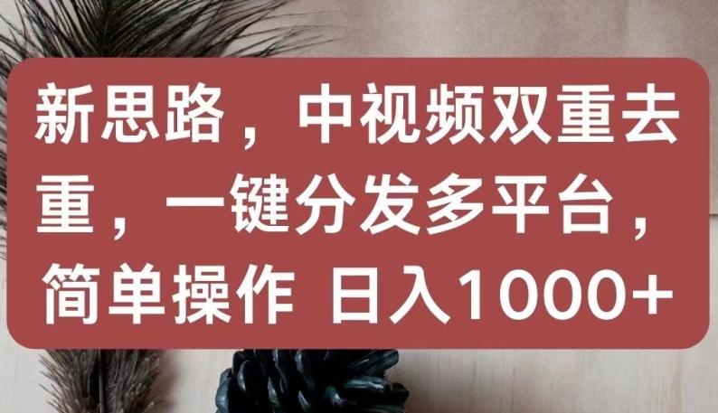 新思路，中视频双重去重，一键分发多平台，简单操作，日入1000+【揭秘】-小艾项目网