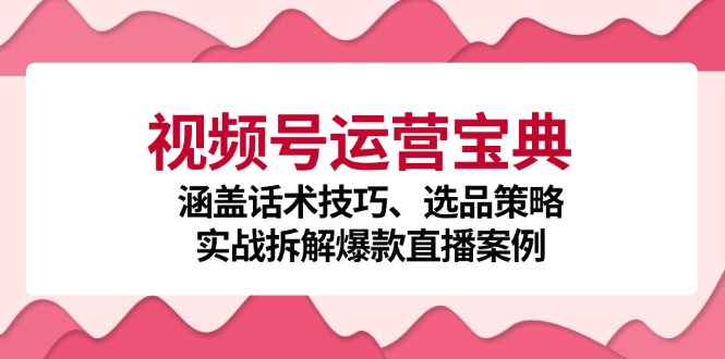 视频号运营宝典：涵盖话术技巧、选品策略、实战拆解爆款直播案例-小艾项目网