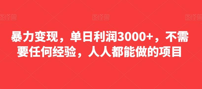 暴力变现，单日利润3000+，不需要任何经验，人人都能做的项目-小艾项目网