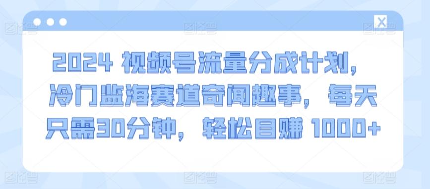 2024视频号流量分成计划，冷门监海赛道奇闻趣事，每天只需30分钟，轻松目赚 1000+【揭秘】-小艾项目网