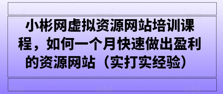 小彬网虚拟资源网站培训课程，如何一个月快速做出盈利的资源网站(实打实经验)-小艾项目网