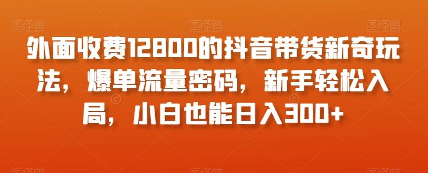 外面收费12800的抖音带货新奇玩法，爆单流量密码，新手轻松入局，小白也能日入300+【揭秘】-小艾项目网