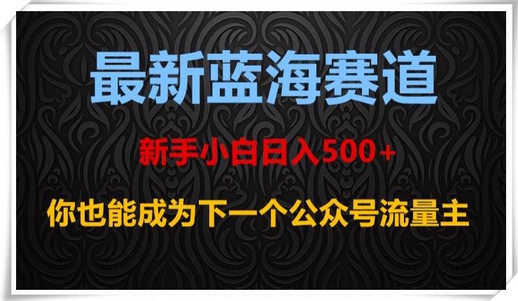 最新蓝海赛道，新手小白日入500+，你也能成为下一个公众号流量主【揭秘】-小艾项目网