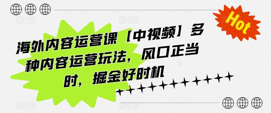 海外内容运营课【中视频】多种内容运营玩法，风口正当时，掘金好时机-小艾项目网