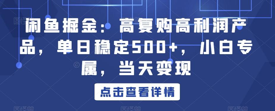 闲鱼掘金：高复购高利润产品，单日稳定500+，小白专属，当天变现-小艾项目网