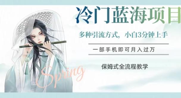 冷门蓝海项目，操作简单，小白3分钟上手，多种引流方式，保姆式全流程教学【揭秘】-小艾项目网