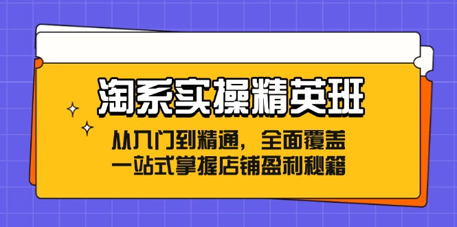 淘系实操精英班：从入门到精通，全面覆盖，一站式掌握店铺盈利秘籍-小艾项目网
