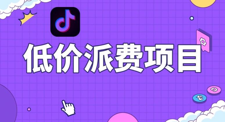 抖音低价派单项目，0门槛，日入1000+很轻松，小白可操作【揭秘】-小艾项目网