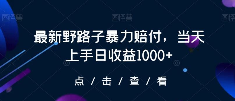 最新野路子暴力赔付，当天上手日收益1000+【仅揭秘】-小艾项目网