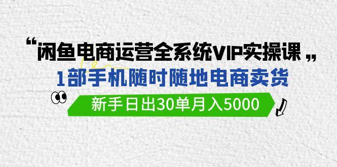 (9547期)闲鱼电商运营全系统VIP实战课，1部手机随时随地卖货，新手日出30单月入5000-小艾项目网
