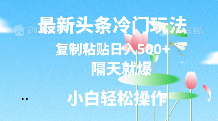 最新头条冷门玩法，隔天就爆，复制粘贴日入500+-小艾项目网