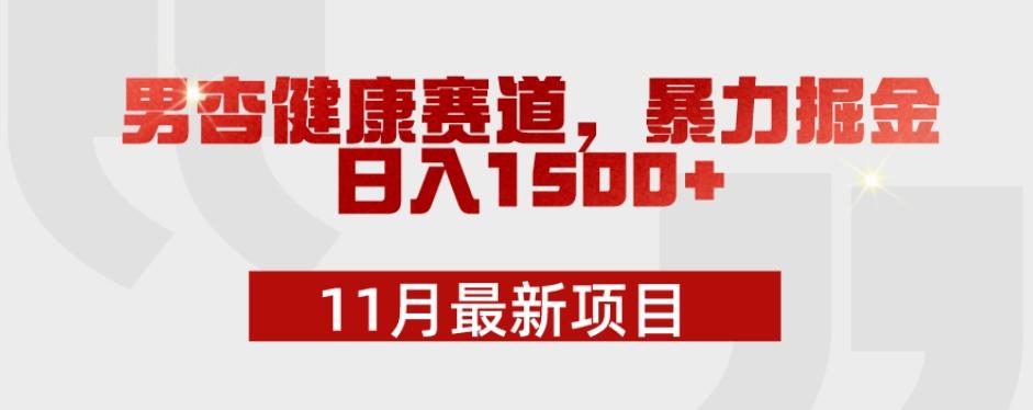 11月最新项目，男杏健康赛道，暴力掘金，日入1500+-小艾项目网
