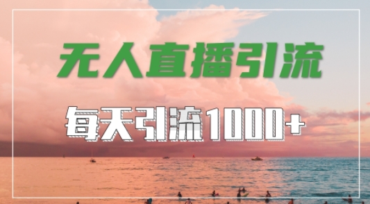 抖音快手视频号全平台通用，无人直播引流法，超暴力引流1000+高质量精准创业粉【揭秘】-小艾项目网