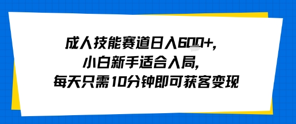 成人技能赛道日入多张，小白新手适合入局，每天只需10分钟即可获客变现-小艾项目网