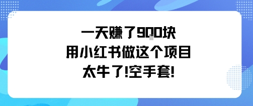 一天挣了9张用小红书做这个项目太牛了，空手套-小艾项目网