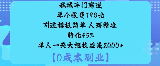私域冷门赛道:单个收费198米引流模板简单人群精准转化45%单人一天大概收益是1k+-小艾项目网