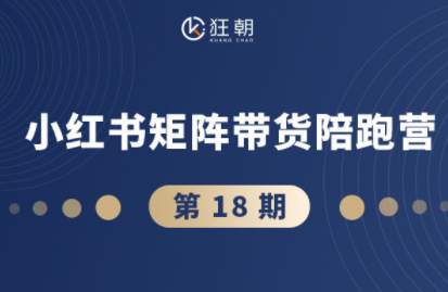 盗坤·抖音小红书视频号短视频带货与直播变现(11-18期)-小艾项目网