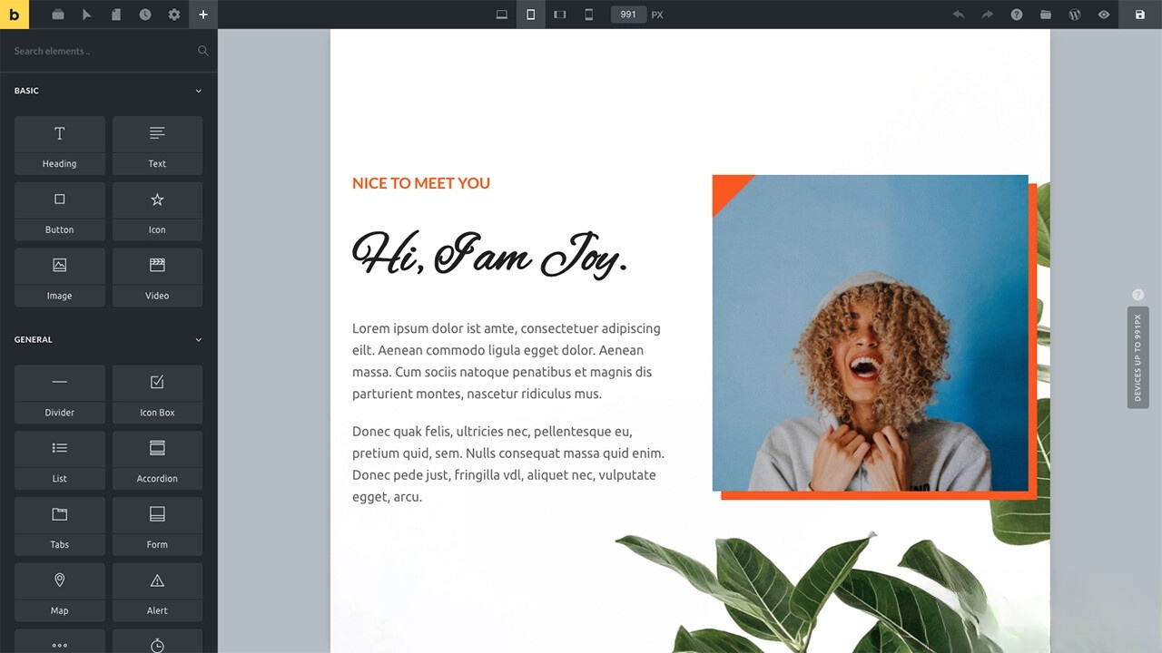 WordPress主题Bricks v1.9 破解版-小艾项目网