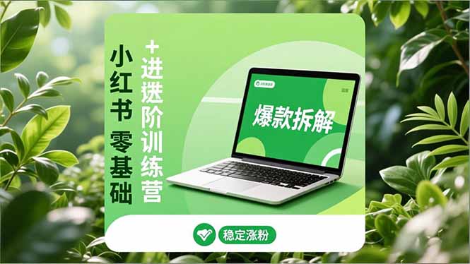 小红书零基础+高阶训练营：安全养号、爆款拆解、长效运营，实现稳定涨粉与变现-小艾项目网