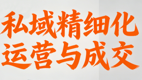 楚老师·私域精细化运营与成交-小艾项目网