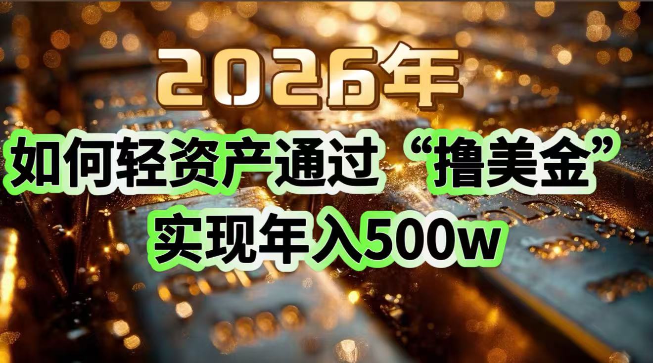 2026年如何轻资产通过“撸美金”实现年入500w-小艾项目网