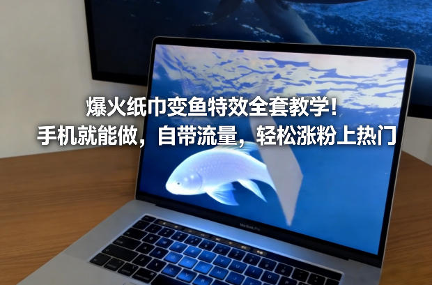 爆火纸巾变鱼特效全套教学！手机就能做，自带流量，轻松涨粉上热门-小艾项目网