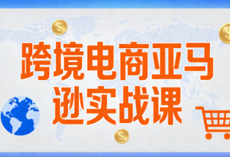 丝丝老师·跨境电商亚马逊实战课(更新2月)-小艾项目网