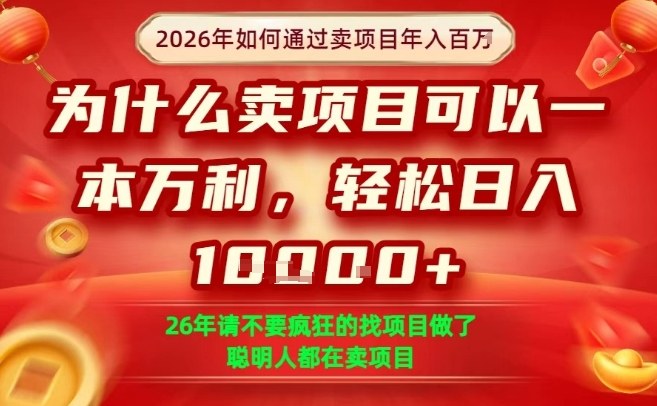 一单净利润1K+，26年想年入100个W，死磕卖项目就够了【揭秘】-小艾项目网