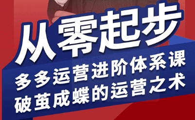 拼多多运营进阶系统课，从零起步，多多运营进阶体系课，破茧成蝶的运营之术(更新26年4月)-小艾项目网