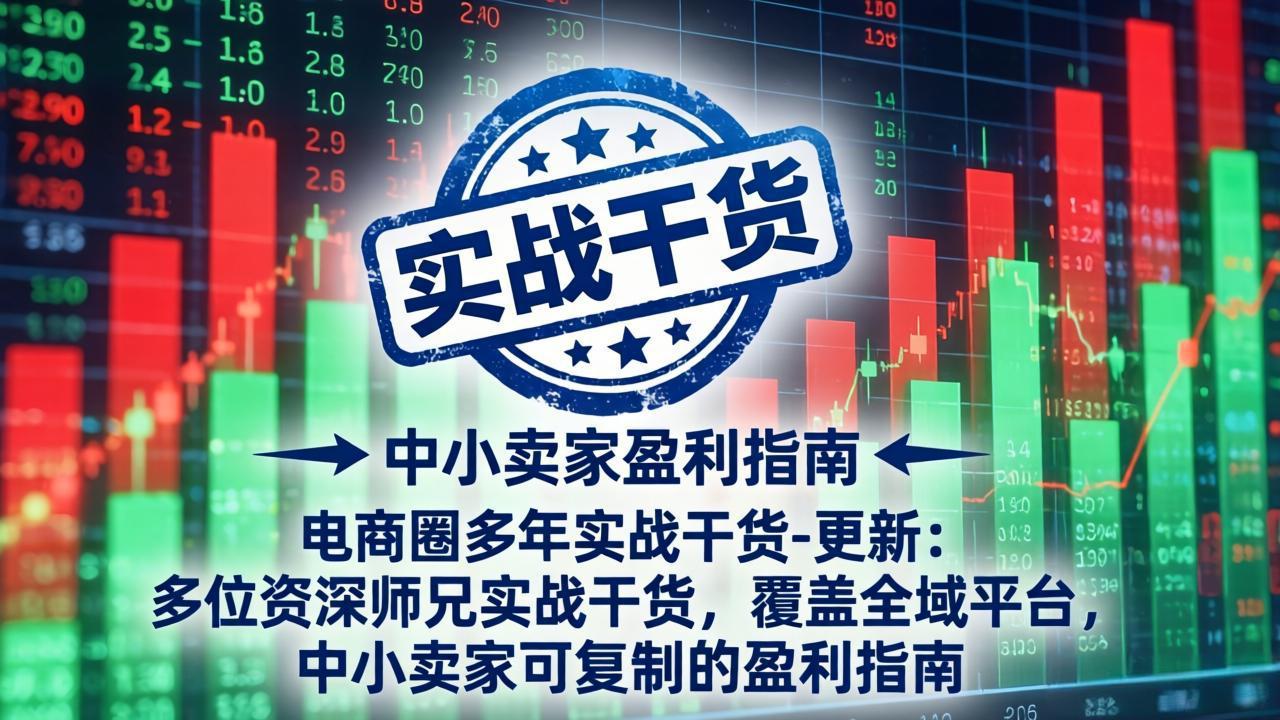 电商圈多年实战干货-更新5月10：多位资深师兄实战干货/覆盖全域平台，中小卖家可复制的盈利指南-小艾项目网