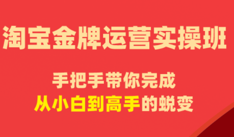 飓风电商·淘宝金牌运营实操班-小艾项目网