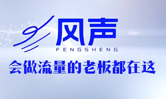 董十一·风声短视频AI获客年度会员-小艾项目网