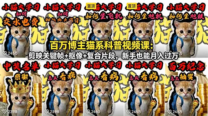 百万博主猫系科普视频课:剪映关键帧+抠像+复合片段,新手也能月入过万-小艾项目网